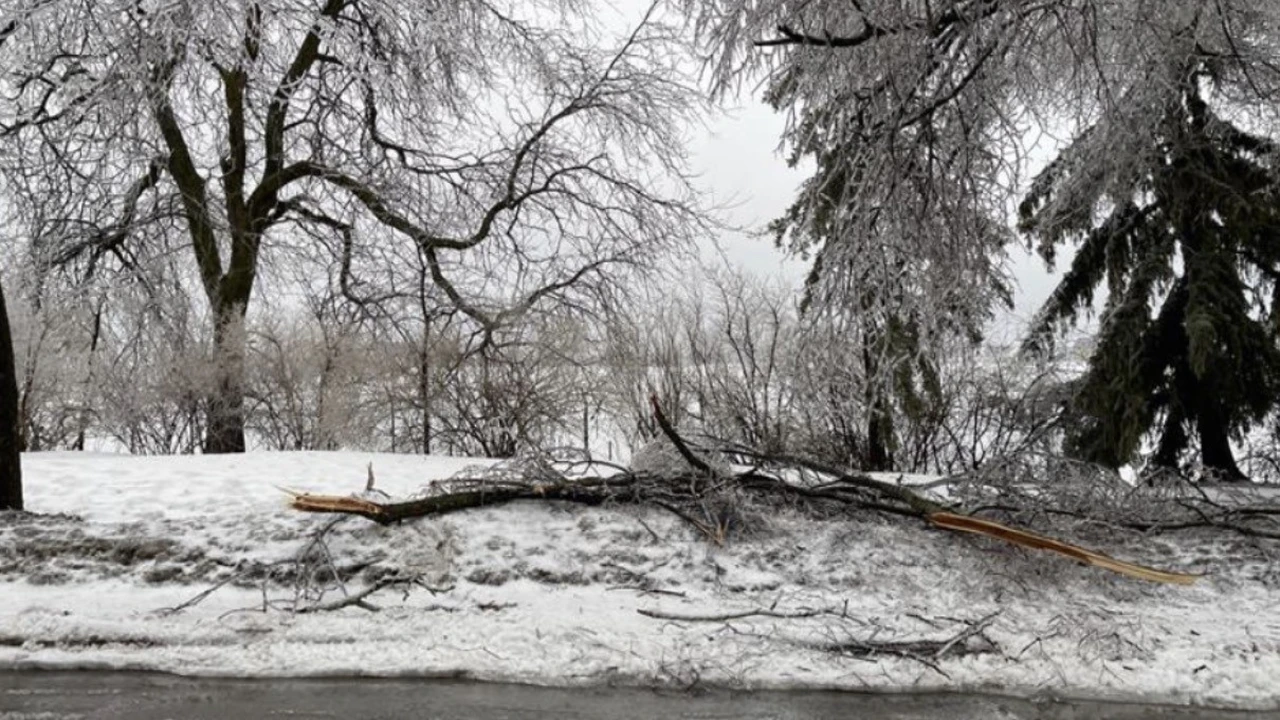 تحذيرات من موجة أمطار متجمدة طويلة تضرب مدينة أوتاوا خلال الساعات القادمة